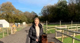 Galerie foto - poza 2