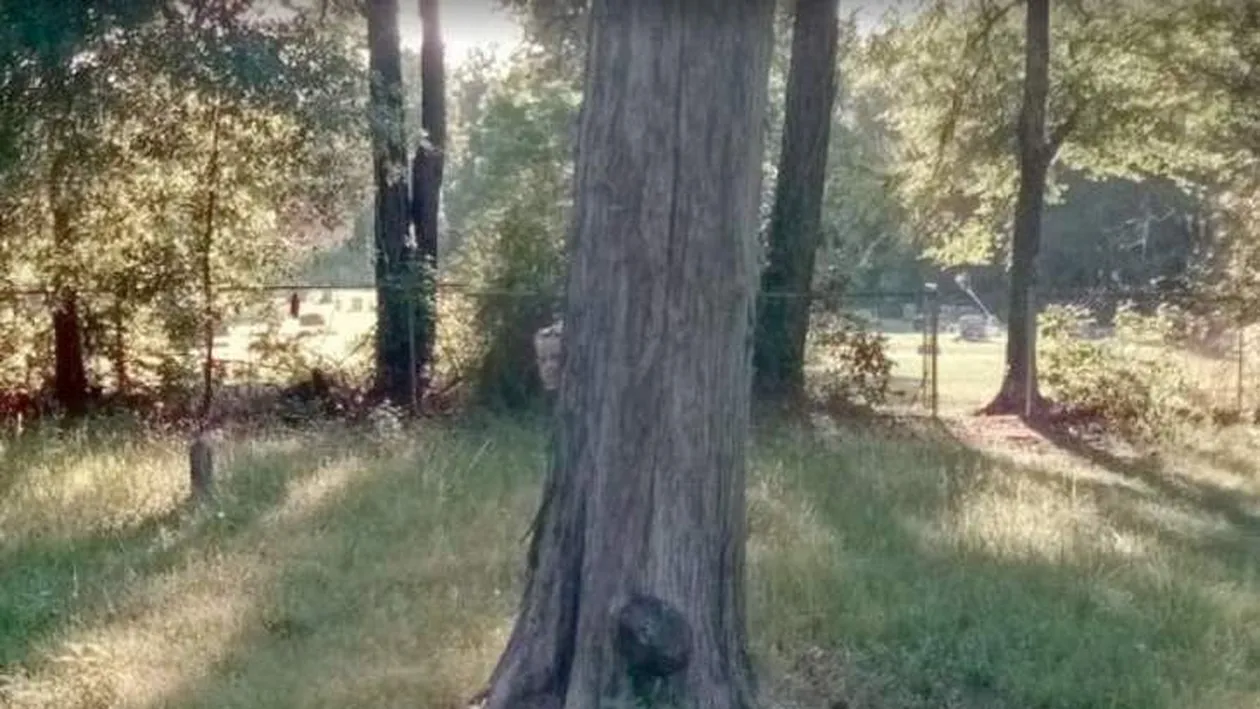 Imagini incredibile surprinse într-un cimitir! Fantoma unei fetițe a fost filmată acolo