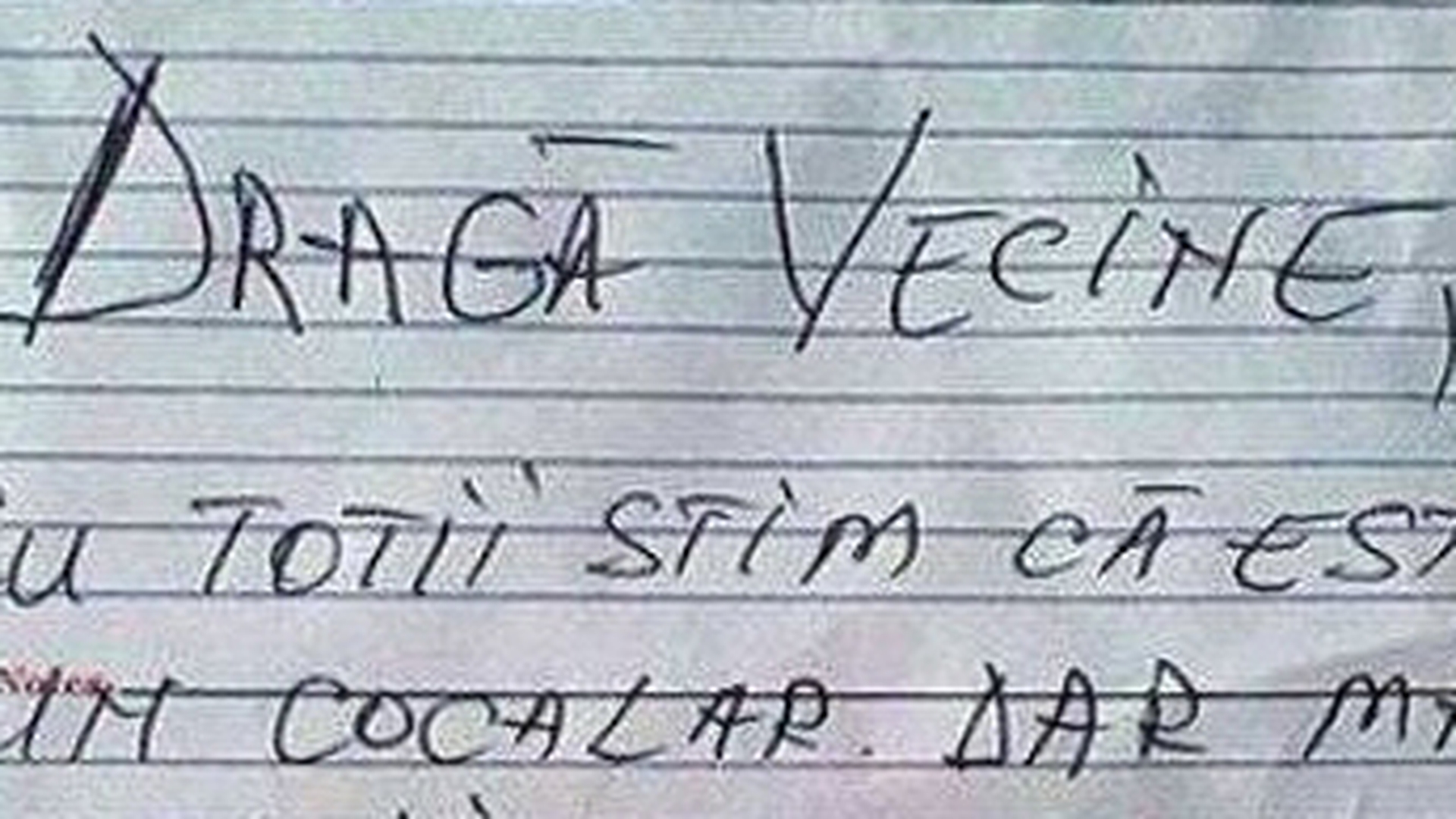 Viralul saptamanii! Mesaj pentru vecinul care nu a iesit la deszapezire