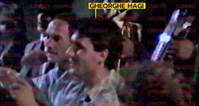 Galerie foto - poza 3