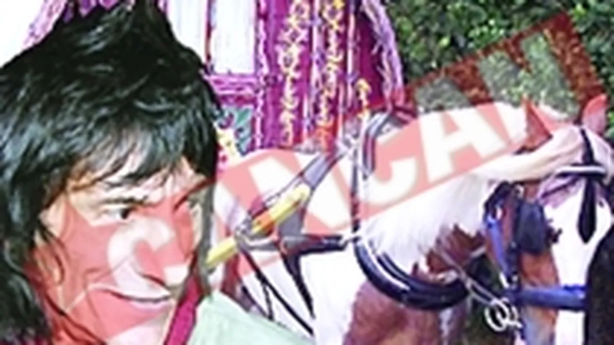 Caruta tiganeasca pentru Rolling Stones