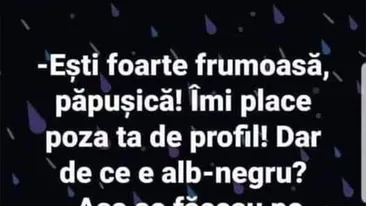 BANCUL ZILEI | Poza de profil albu-negru