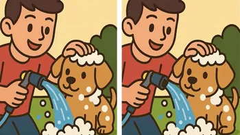 Test de logică | Aceste două imagini nu sunt identice, chiar dacă par. Identificați 3 diferențe în jumătate de minut!