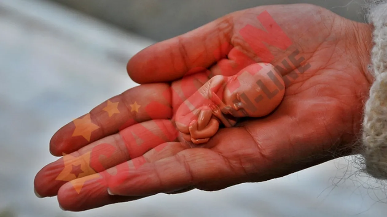 De ziua lor, copiii au protestat pentru copiii nenascuti!