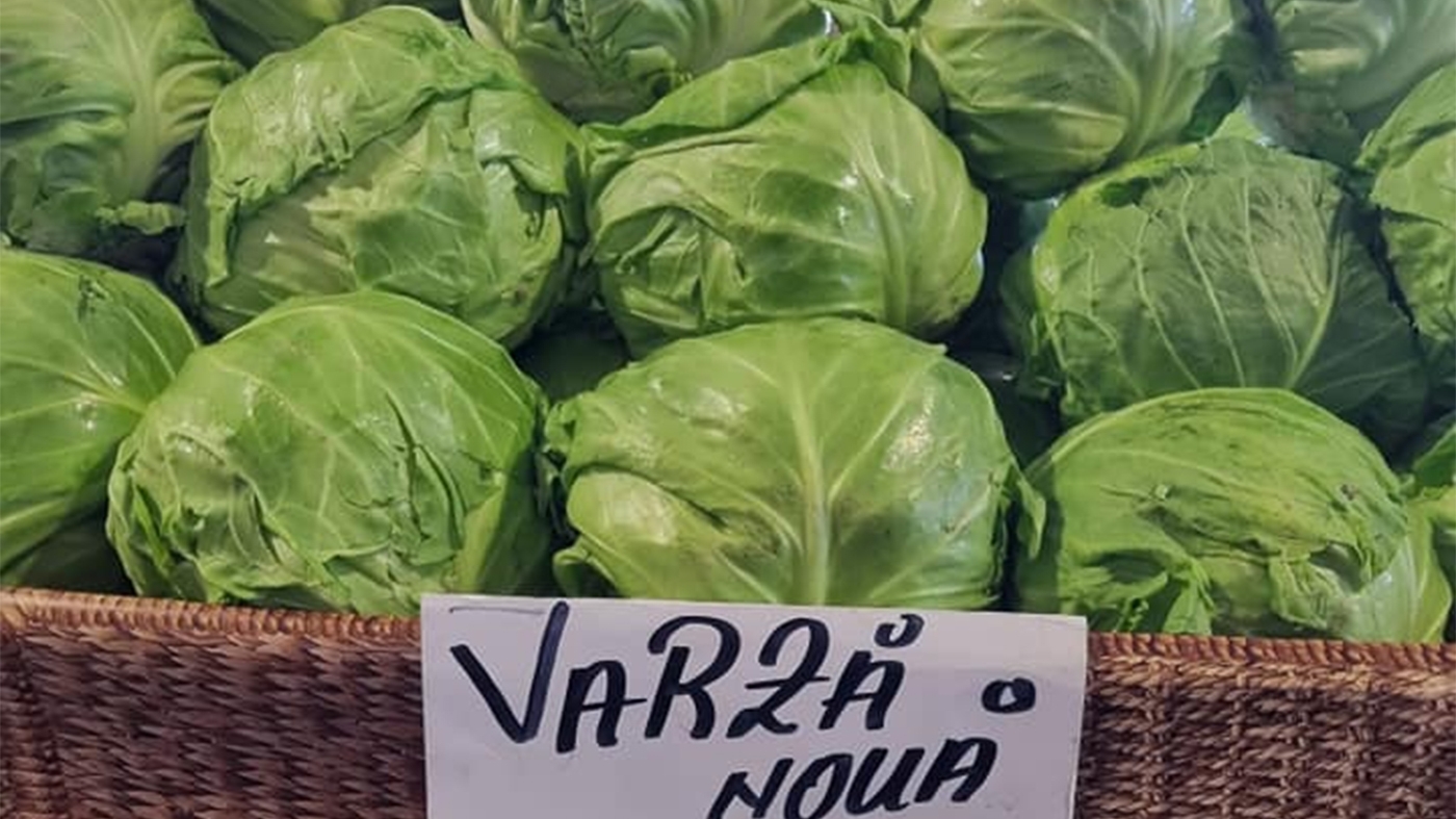 De necrezut! Câți lei costă 1 kilogram de varză nouă în piețele din România