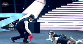 Galerie foto - poza 2