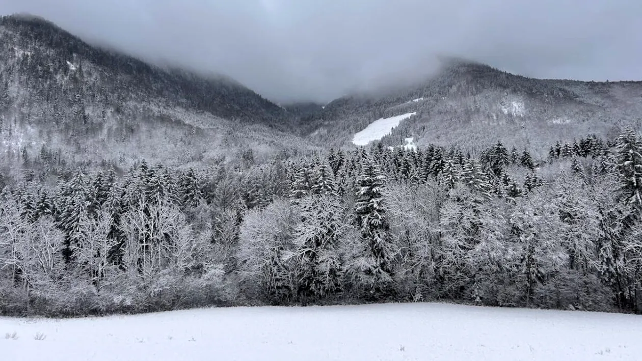 Un vortex polar se abate asupra României iarna aceasta! Temperaturile vor coborî sub -20 de grade Celsius