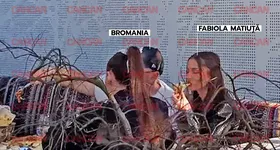 Galerie foto - poza 3