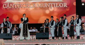 Galerie foto - poza 4