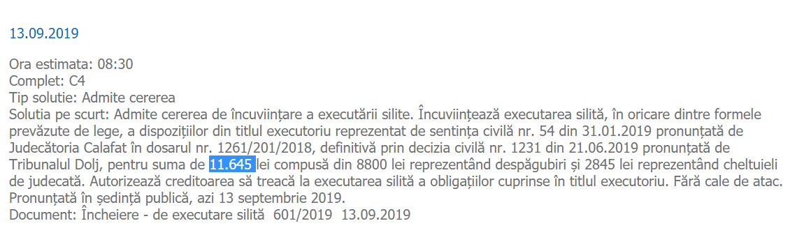 Judecătorii au decis executarea silită a asociației de protecție a animalelor