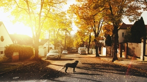 Satul în care toți cei 6.000 de locuitori stau pe aceeași stradă. Imaginea a devenit virală în întreaga lume