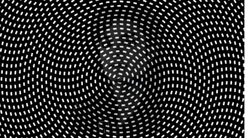 Iluzie optică virală | Identificați marea vedetă ascunsă în această imagine!