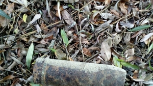 Un ”căutător de comori” din Vrancea a găsit două grenade defensive și 80 de cartușe