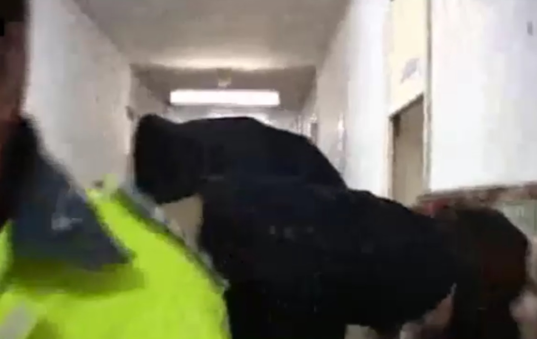 Fiul judecătorilor din Craiova care a provocat un accident mortal a fost reținut! Primele imagini cu adolescentul de 16 ani încătușat