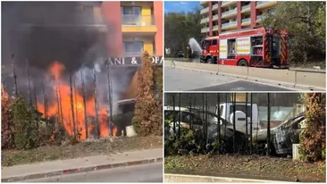 Incendiu în Pipera! Focul s-a extins și la o țeavă de gaz. O echipă Distrigaz a ajuns la fața locului, iar numeroși oameni au fost evacuați