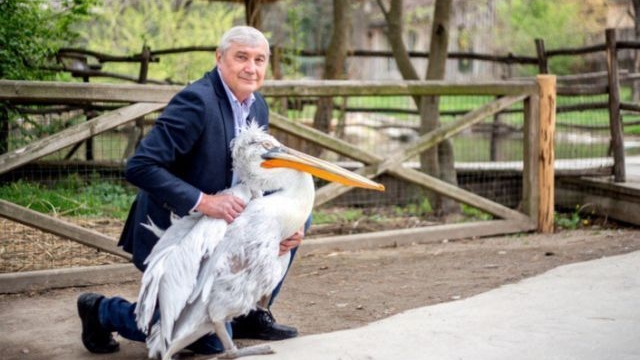 A devenit cel mai bun prieten cu un pelican! Vezi despre cine este vorba! 