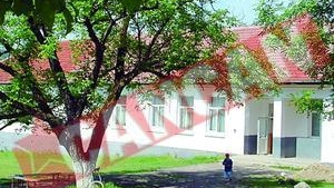A supravietuit dupa ce s-a prabusit in prapastie