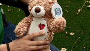 A primit cadou un ursuleț de Secret Santa. După două săptămâni, femeia a făcut o descoperire șocantă în interiorul animăluțului de pluș