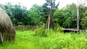 S-au gasit oseminte umane in gospodaria unde locuise un barbat dat disparut in urma cu 13 ani