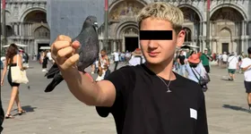 Galerie foto - poza 2