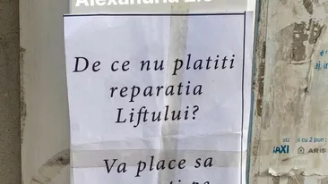 Ce afiș a lipit un bărbat din Alexandria la intrarea în scară. „De ce nu plătiți reparația liftului. Vă place să..”