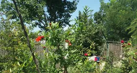 Galerie foto - poza 1