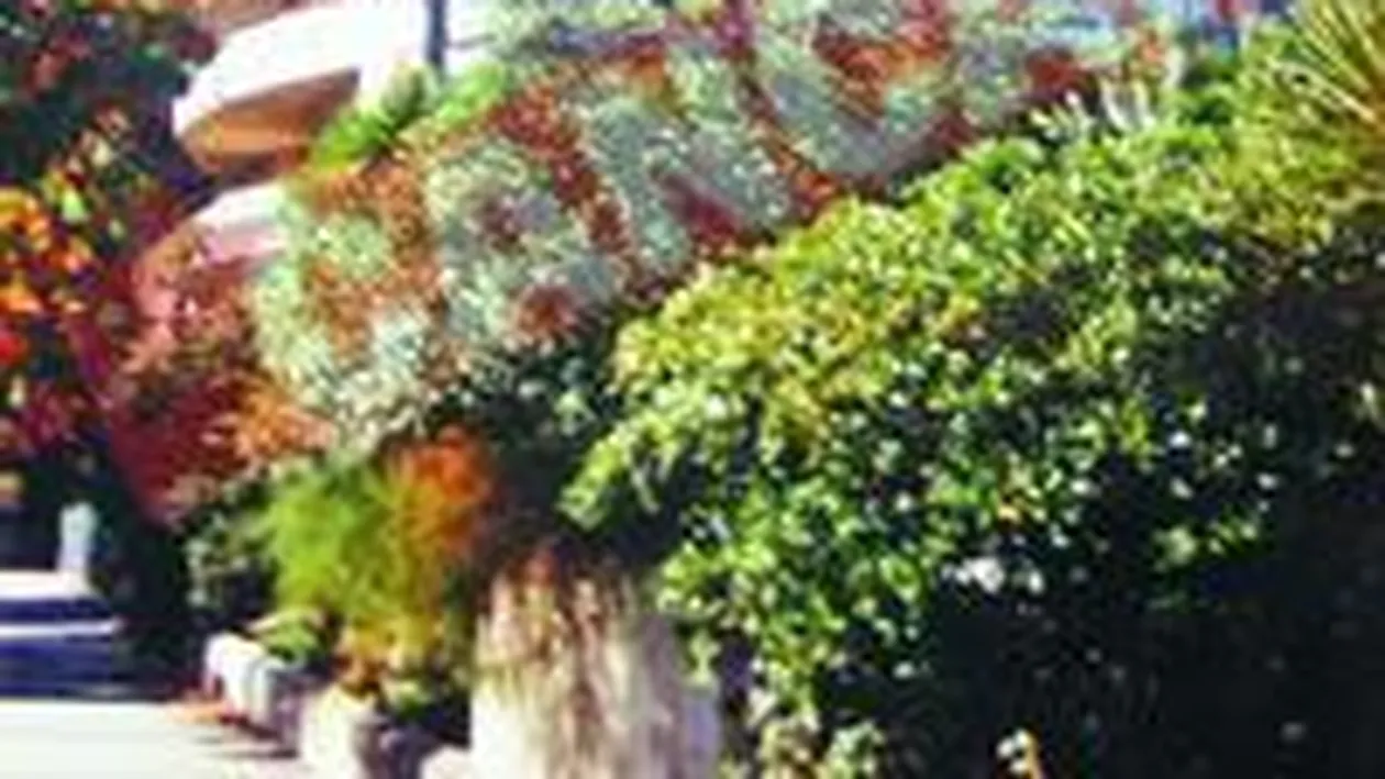 Urmasul lui Take Ionescu a fost miner in Australia si diplomat in Italia