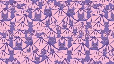 Test de inteligență exclusiv pentru genii | Identificați peștele din această iluzie optică