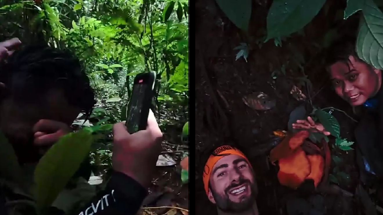 A scris istorie în botanica umanității și a plâns ca un copil! După 13 ani de căutări, a găsit în junglă o floare unică de Rafflesia hasseltii