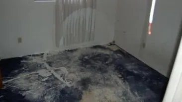 O familie de romani din Canada este in permanenta hartuita de un grup de adolescenti