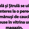 BANC | Bulă și Ștrulă se uită cu interes la o pereche de mănuși de cauciuc
