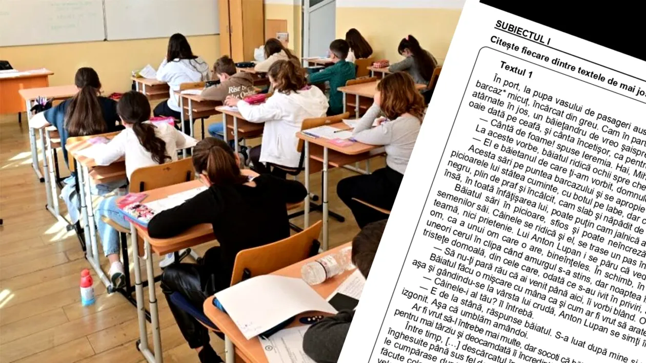 Evaluarea Națională 2025 | Baremul de notare și subiectele la limba și literatura română