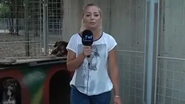 VIDEO Moment penibil pentru o reportera din Romania! Ce a patit in timp ce prezenta o stire: S-a p***t pe mine! Bai, nene!