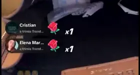 Galerie foto - poza 4