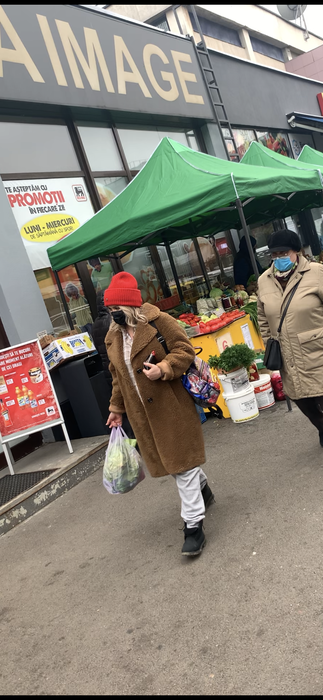 Graviduța Gina Pistol a fost din nou la piață