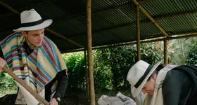 Galerie foto - poza 4