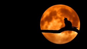 Horoscop zilnic 24 iulie 2021. Lună Plină în zodia Vărsător