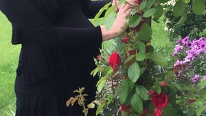 FOTOGRAFIE realizată în această dimineaţă cu burtica de GRAVIDĂ! Cum a fost pozată, după ce ieri s-a spus că ALINA BORCEA este însărcinată
