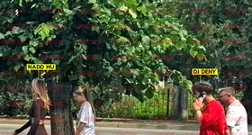 Galerie foto - poza 3