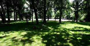 Perversul din parcul Crângași s-a ales cu o amendă de 3.000 lei