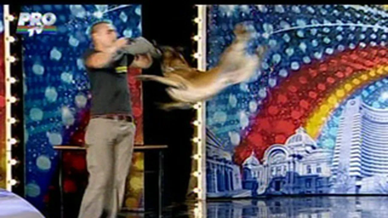 El e Slow, cel mai tare ciobanesc german de la Romanii au talent! Vezi ce acrobatii stie sa faca!