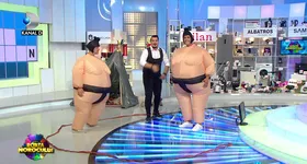 Galerie foto - poza 4