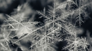 METEO 14 IANUARIE: Valorile termice vor continua sa scada usor