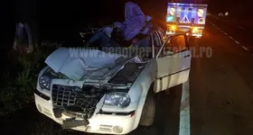 Galerie foto - poza 1