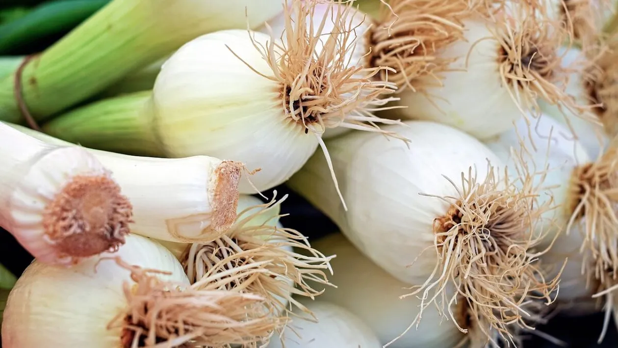 Cât a ajuns să coste un kilogram de ceapă în piață, acum în 2023. Ministrul Agriculturii a răbufnit: ”Nu e în regulă!”