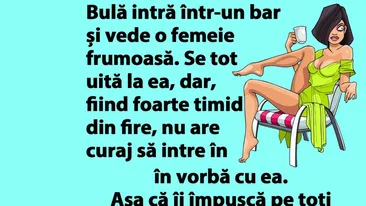 BANC | Bulă intră într-un bar și vede o femeie frumoasă