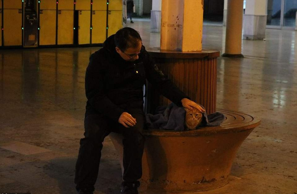 Îți dau lacrimile! Imagini emoționante cu medicul stomatolog care caută noaptea pe străzi câini și pisici pentru a le înveli