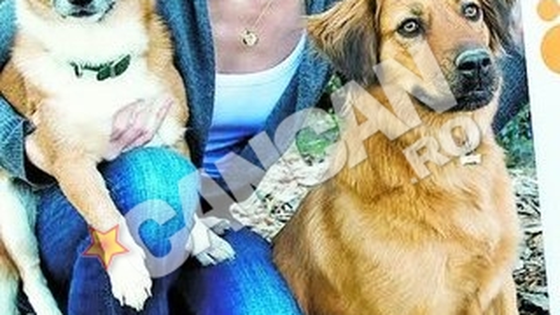 Starul din "Million Dollar Baby" a vizitat adapostul "Speranta". Hilary Swank sare in ajutorul maidanezilor din Bucuresti