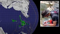 Descoperire unică în istoria omenirii. A fost găsit un nou continent, dispărut în urmă cu 155 de milioane de ani