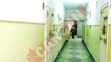 Usile celulelor de la Rahova, topite de canicula